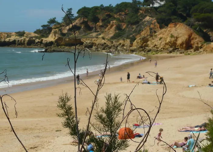 Hotel Agua Marinha Rosa-