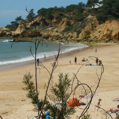 Otel Agua Marinha Rosa-